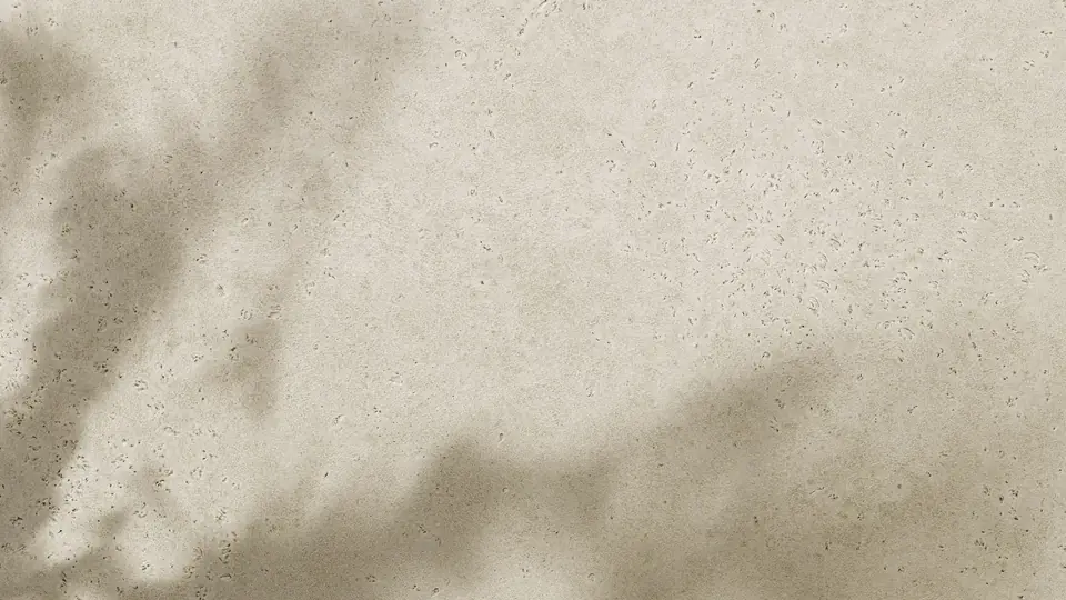 Sombra de uma planta projetada numa parede clara