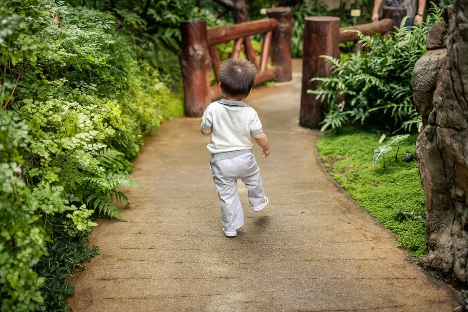Criança pequena de costas, caminhando por um caminho entre plantas
